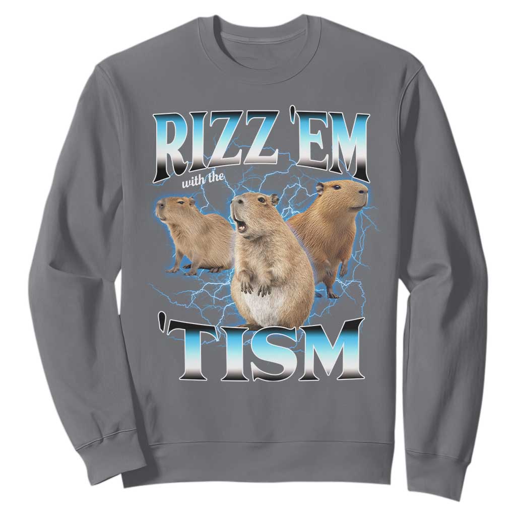 Autism Capybara Sweatshirt Funny Rizz Em With The Tism