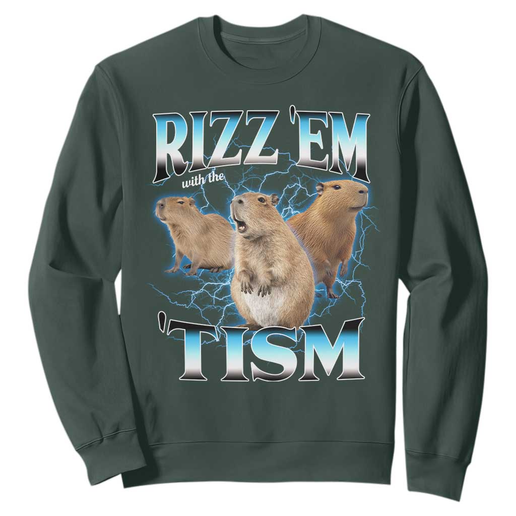 Autism Capybara Sweatshirt Funny Rizz Em With The Tism