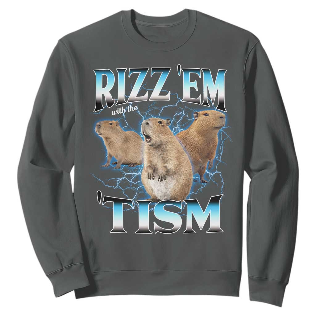 Autism Capybara Sweatshirt Funny Rizz Em With The Tism