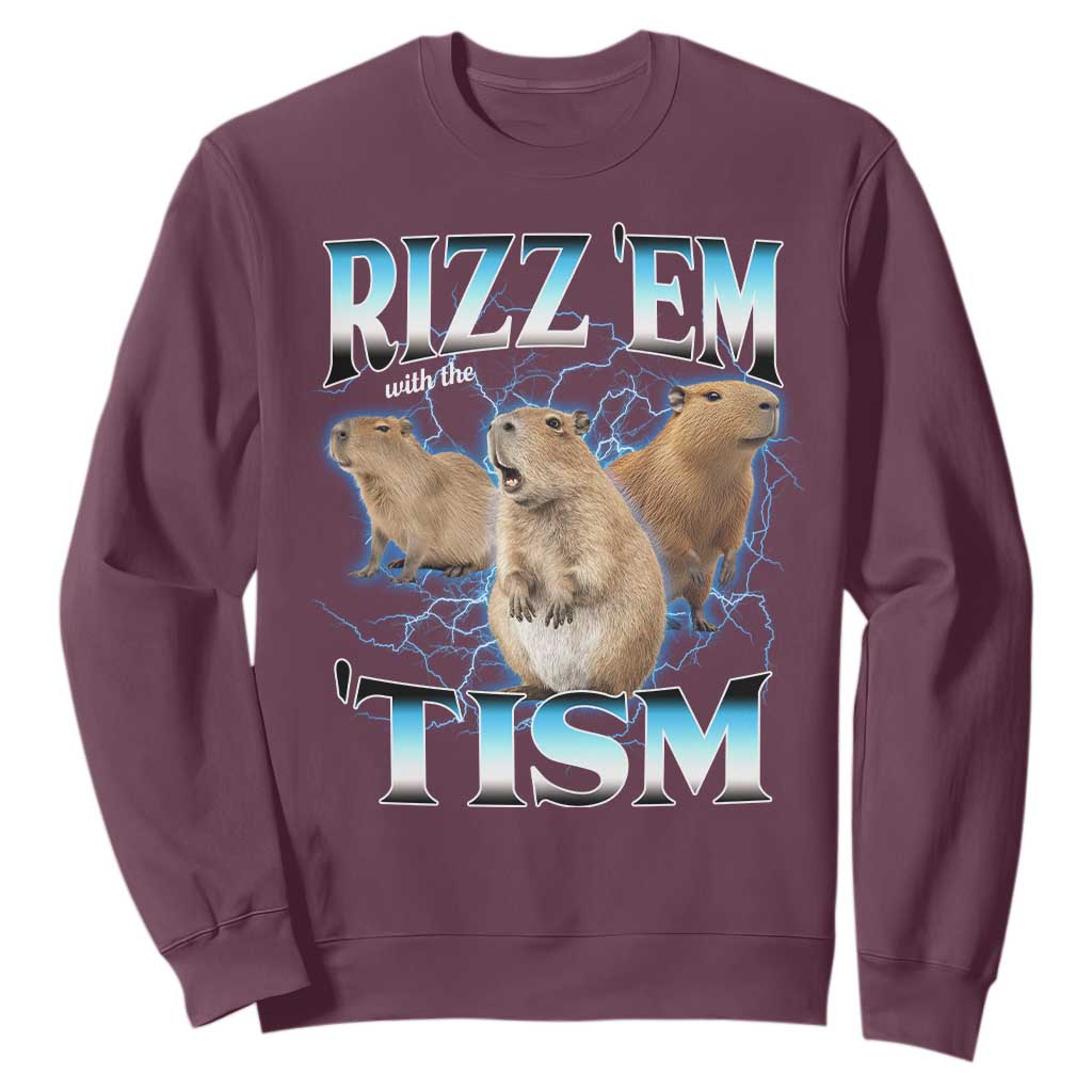 Autism Capybara Sweatshirt Funny Rizz Em With The Tism