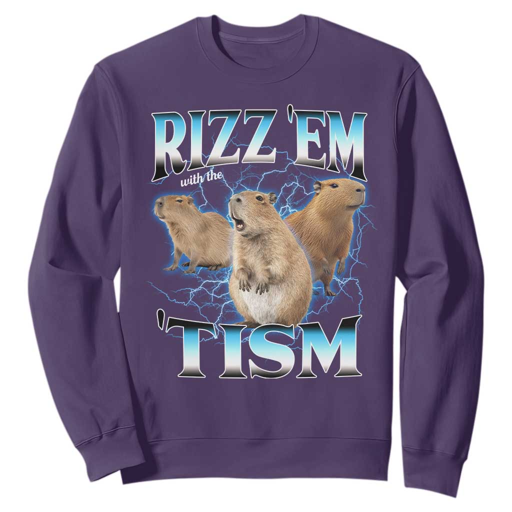Autism Capybara Sweatshirt Funny Rizz Em With The Tism