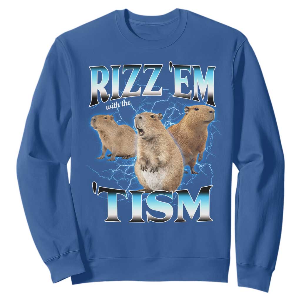 Autism Capybara Sweatshirt Funny Rizz Em With The Tism