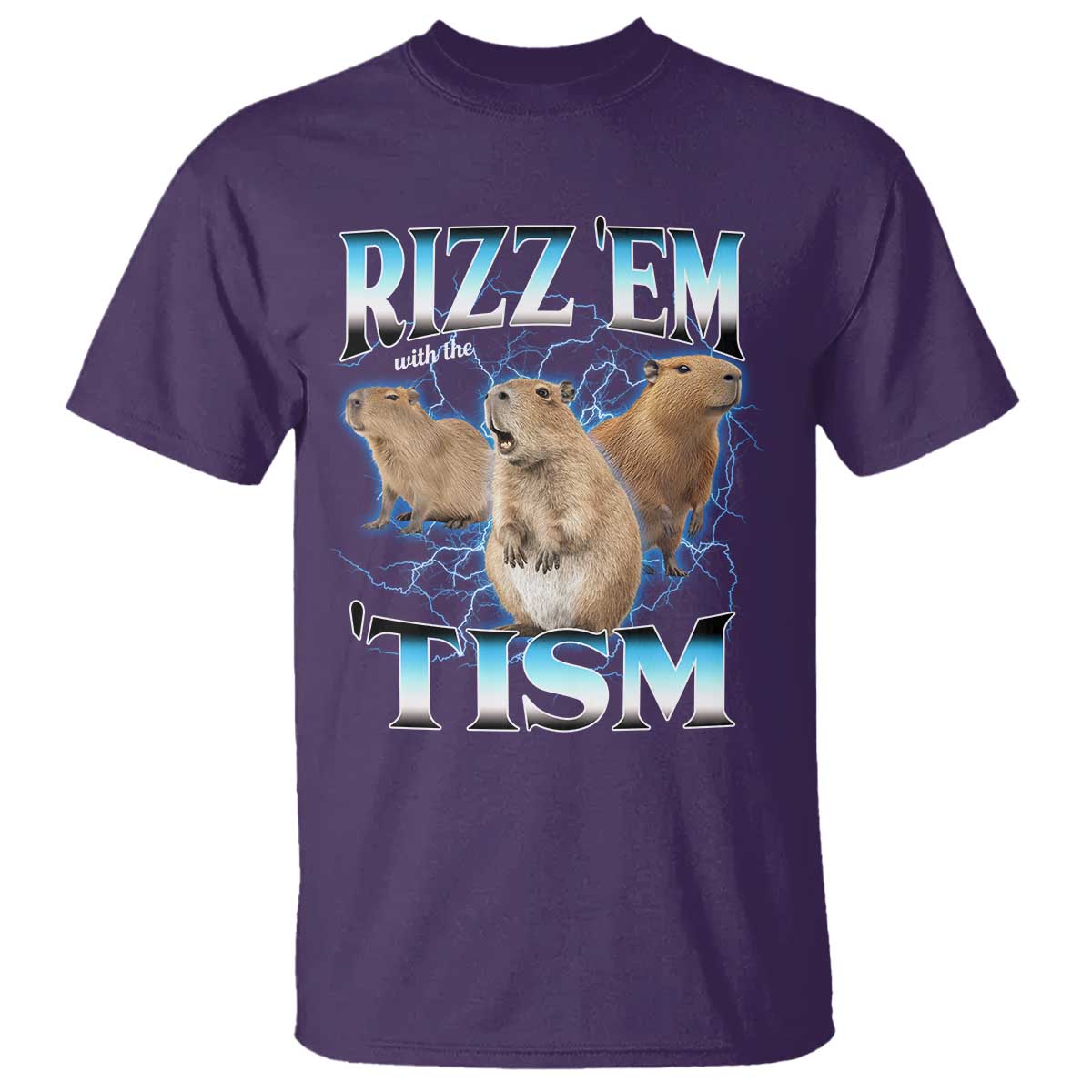Autism Capybara T Shirt Funny Rizz Em With The Tism