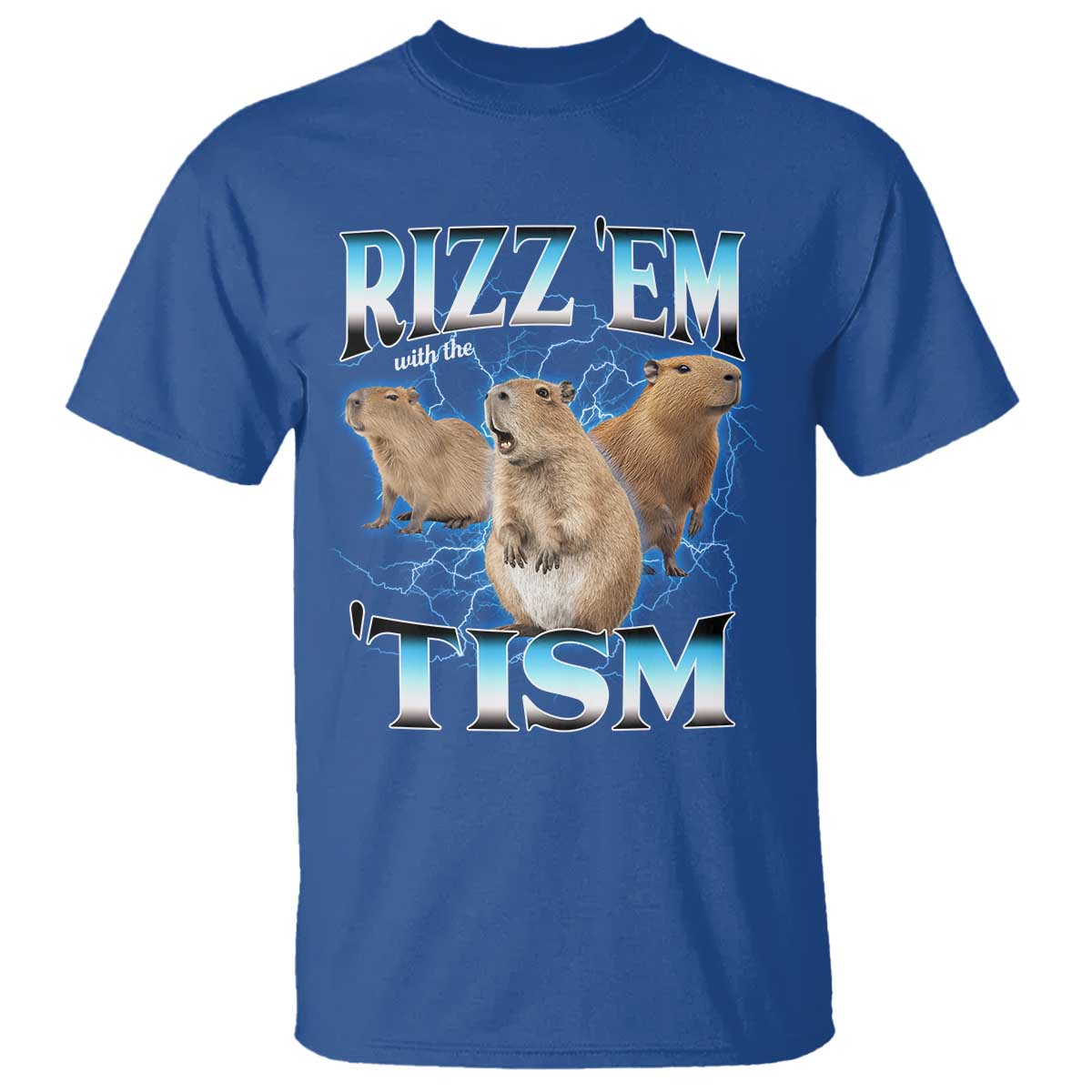 Autism Capybara T Shirt Funny Rizz Em With The Tism