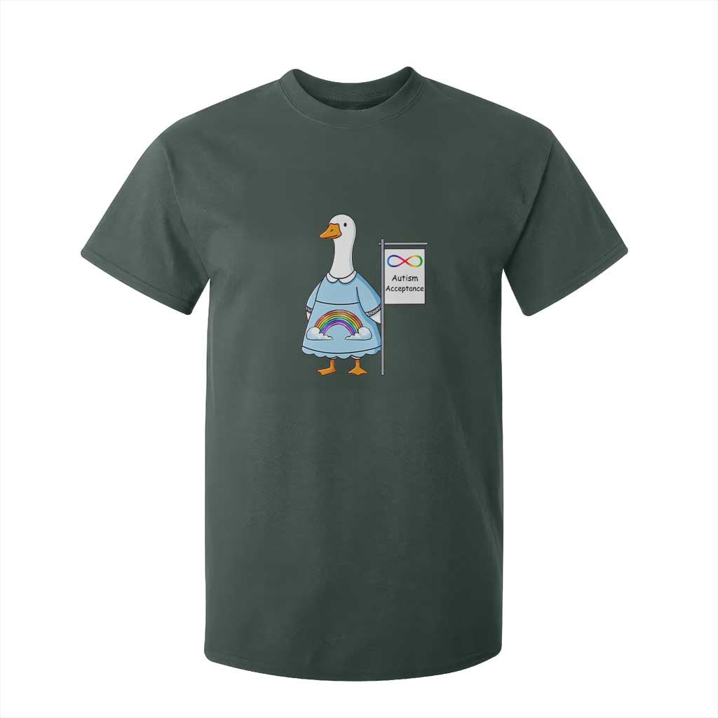 Autism Acceptance T Shirt For Kid Neurodivergent Awareness Silly Goose Support
