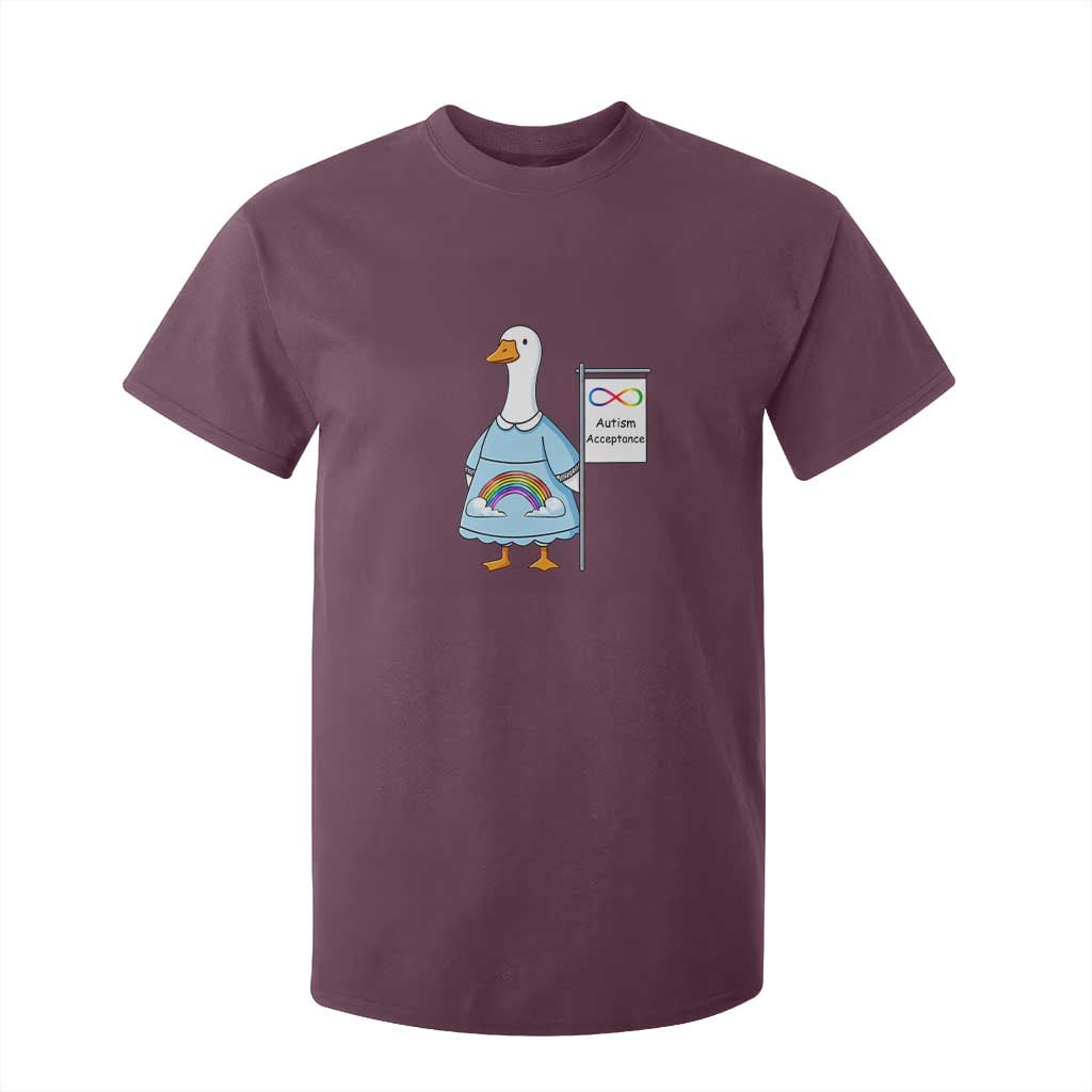 Autism Acceptance T Shirt For Kid Neurodivergent Awareness Silly Goose Support