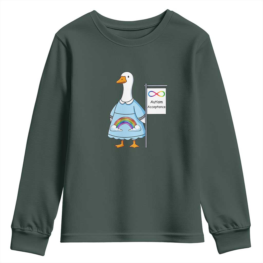 Autism Acceptance Youth Sweatshirt Neurodivergent Awareness Silly Goose Support